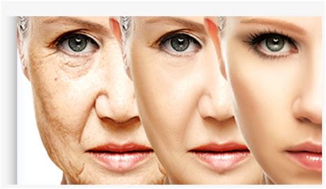 갱맘팀 승리시 1명 1000 53: Face - Anti Aging - Free Transparent PNG Download - PNGkey