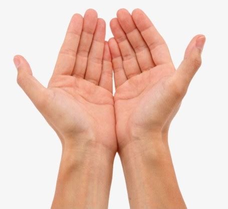 The article explains different money lines and signs if present on the hands will make the person's life wealthy,famous and rich. Signs of Wealth through Palm Reading Money Line - Astronlogia