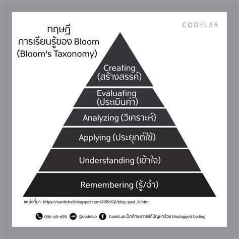 ทฤษฎี Bloom - CodeLab