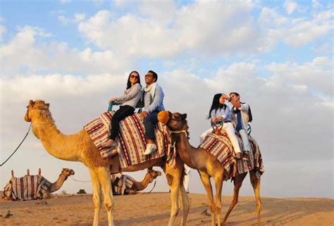 Though the alzheimer's camel test gained online popularity, it's ineffective at diagnosing neurological dementia. 5 outdoor adventures to try in Dubai before summer