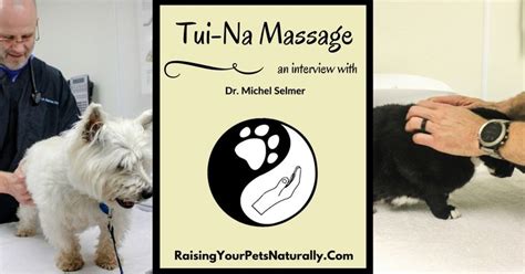Unemployment insurance benefits provide temporary financial assistance to workers unemployed through no fault of their own that meet illinois' eligibility requirements. An Intro to Tui-Na Massage for Pets. | Positive dog training, Pets, Cat health
