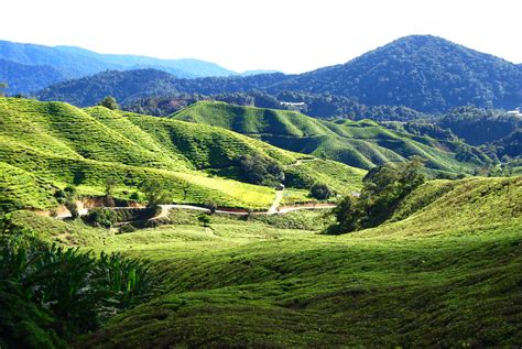 Koyan under ch although sg. Cameron Highlands - Malaysia