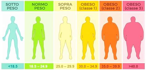 This number will fit into a category on the scale of bmi ranges, which. Cosa è il BMI? - Dott. Federico Messina - Chirurgia dell ...