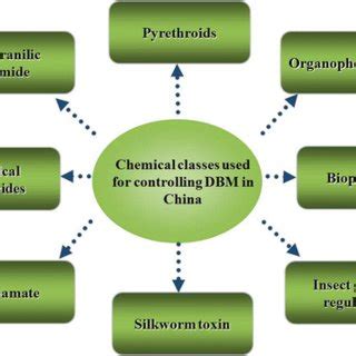 Indicate guidelines for restocking each chemical. Cabbage crop damaged by Plutella xylostella | Download ...