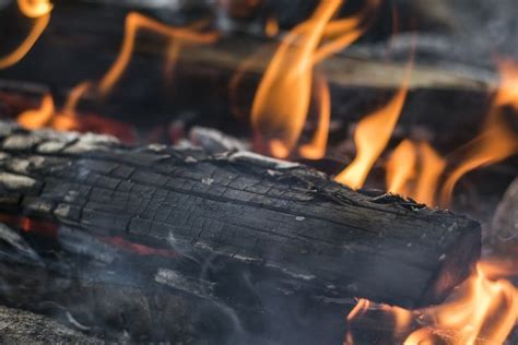 These free photos are cc0. Free Image on Pixabay - Campfire, Firewood, Fire, Wood ...