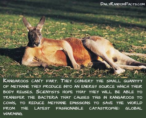 Feb 12, 2012 · the family must be a model and demonstrate the fact that the sexual relationship has a place only in marriage between a husband and wife. 20 Awesome animal facts you might not know | Amazing Creatures