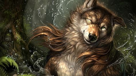 :d was sad to see it go! HD wallpaper: furry, wolf, animals, vertebrate, animal ...