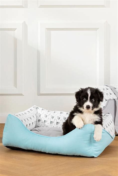 102 tiere in der vermittlung bei hundeblicke e.v. Gemütliches Kuschelsofa für Hunde | Kuschelsofa, Katzen ...