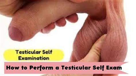 Medically reviewed by hansa d. Testicular Cancer Exam How to Perform a Testicular Self ...