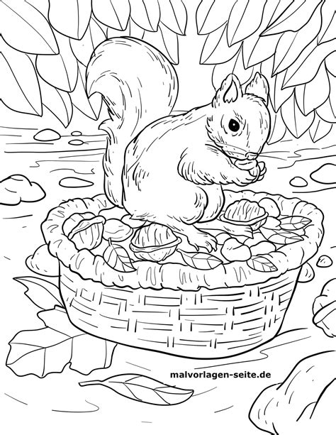 Ihr zuhause ist ihr schloss, außerdem mit etwas einfallsreichtum können sie ihr zuhause mit überraschender kreativität renovieren. Herbst Malvorlagen Eichhörnchen | Ausmalbilder, Kostenlose ...