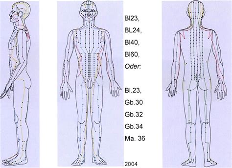 Kurze meridiane haben wenige, lange meridiane viele akupunkturpunkte. Therapie der chronischen Lumbalgie in meiner Praxis ...