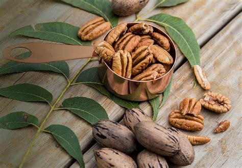 One ounce of pecans (28.4 grams) contains 196 calories. Pecan Health Benefits by the Handful | Healthy eating ...