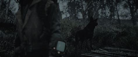 Другие видео об этой игре. Convert FALLOUT 4 Into a Horror Film with a THE WITCH ...
