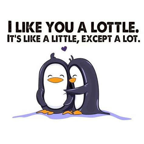 Maybe you would like to learn more about one of these? Pin by Wayne Fischer on Adorable! | Lottle, Penguin love, Inspirational quotes about love