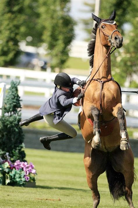 He is the kindest horse that i have ever had the pleasure to work with and he will undoubtedly soon form a close bond with his new handler too. 113 best images about Naughty Ponies on Pinterest | Horses ...