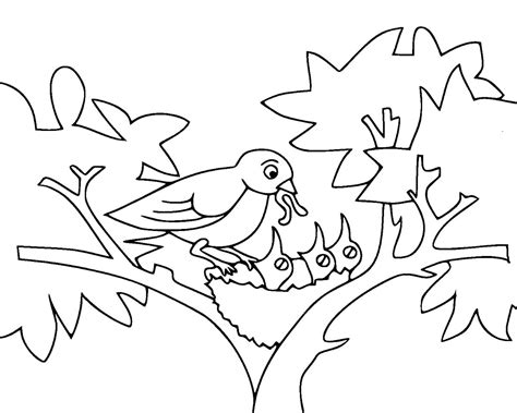 We also have coloring pages of squirrels, butterflies, insects, and many other birds. Baby Birds Coloring Page - Free Printable Coloring Pages ...