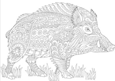 Now, print out this coloring page and let your kids color it by using crayons, colored pencils. Pin by Alieke on Антистрес | Animal coloring books, Animal ...