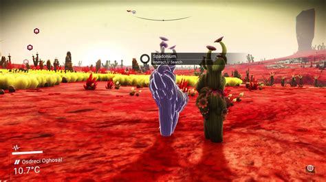 Next he wants me to grow an echinocactus, so i start on my hunt for cactus flesh! ***Finding Catcus Flesh (Spadonium)*** - No Man's Sky ...