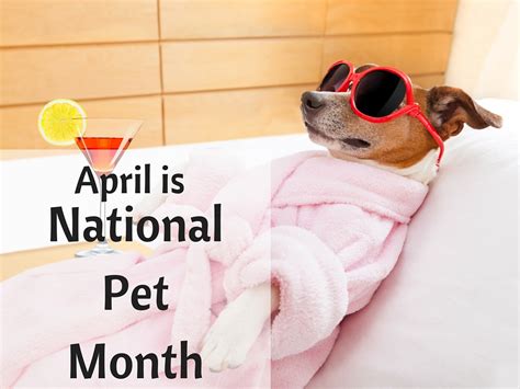 It is observed annually in the united states in may and during the month of april in the united kingdom. Blog for Fancy Dress CostumesApril is National Pet Month ...