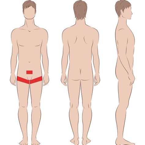 It's more like a balm that also removes your hair and it is formulated for. Male Bikini Extended Laser Hair Removal | Indy Laser