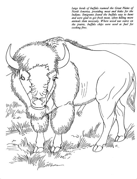 Flag coloring pages christmas coloring pages animal coloring pages coloring pages for kids coloring sheets coloring books native american design native american crafts american indians. Bison Coloring Pages - ColoringBay