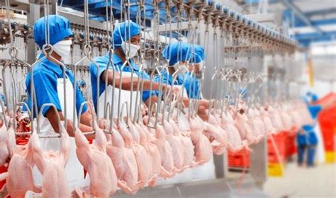 Mỗi khối thông tin đều chứa thông tin về thời gian khởi tạo và được liên kết tới khối trước đó. Pertama di Indonesia, Rumah Potong Ayam Ini Luncurkan ...