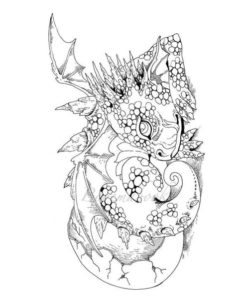 Do you prefer mandalas, doodles, or zentangle drawings ? Nice Little Dragons (Adult Coloring Book, Coloring pages ...
