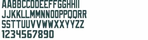 Download all fonts (8.6 mb). NFL Seattle Seahawks Flat font download free (truetype)