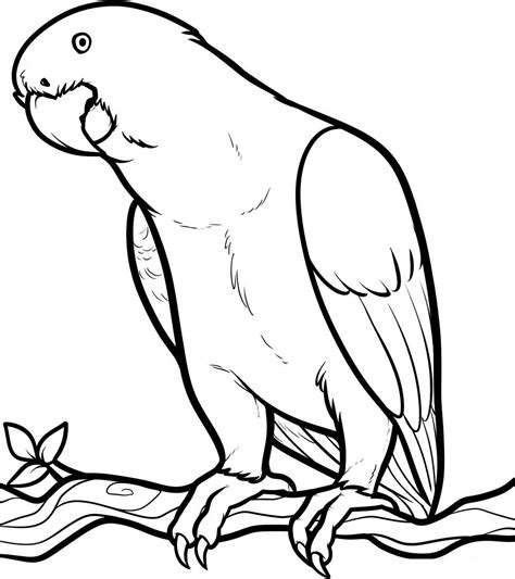 Home/for adults/printable relaxing coloring page parrot. All About Parrots - Parrot colouring picture11