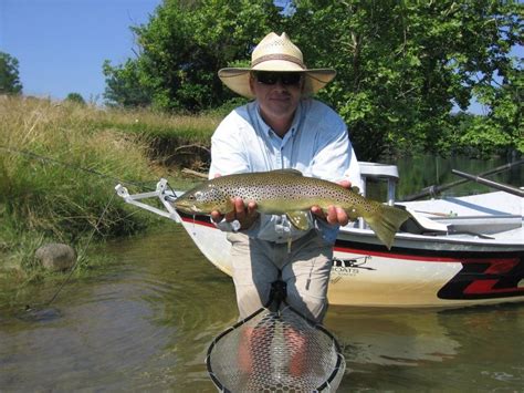 Click here for twra fishing report. Watauga River Lodge - Fly fishing Lodge | Fly dreamers ...