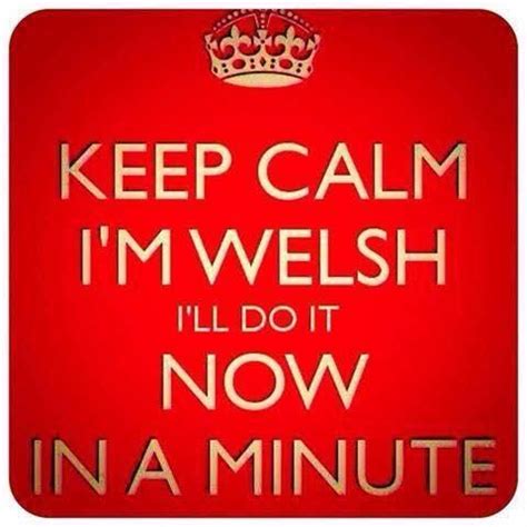 Considered a full contact game, player of all sizes are welcomed to play. Puddin McJingles™ on in 2020 (With images) | Welsh sayings ...