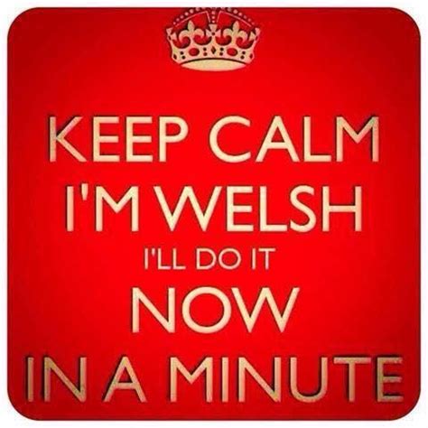 A fun way to say. Puddin McJingles™ on in 2020 (With images) | Welsh sayings ...