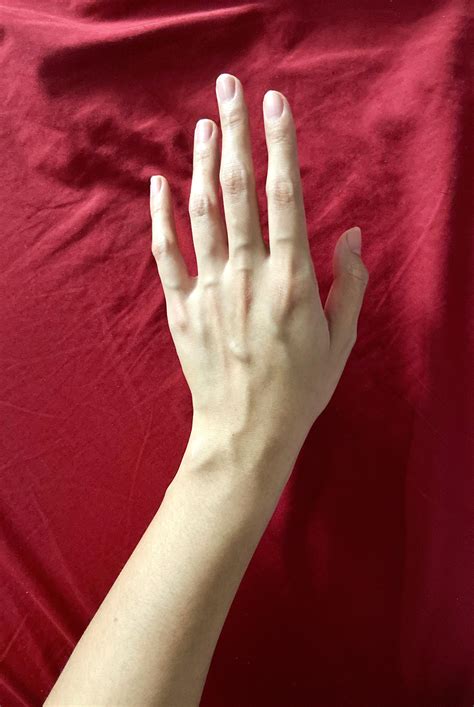thoughts about veiny hands? : hands