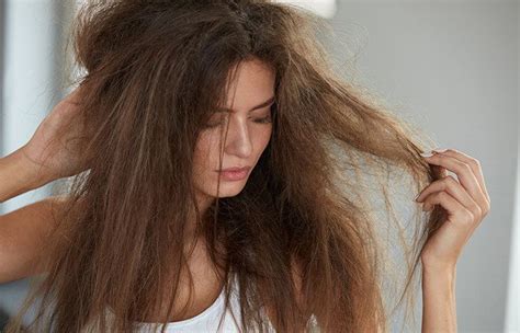 Apalagi jika menggunakan vacuum blender. Buah Delima Untuk Rambut / Tips Sederhana Menggunakan Buah ...