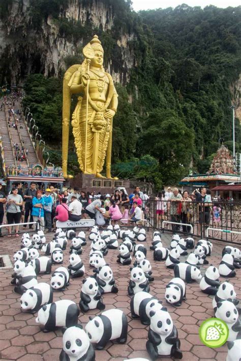 Explore batu caves holidays and discover the best time and places to visit. PANDA IN BATU CAVES | Malaysian Foodie