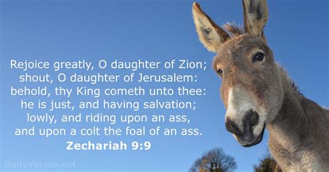 Read reviews from world's largest community for readers. Zechariah 9:9 - KJV - Bible verse of the day - DailyVerses.net