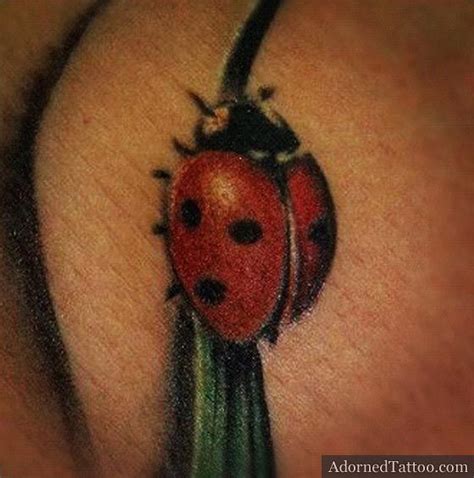 Ladybug tattoo designs will be introduced with quite a lot of completely different icons and components, comparable to flowers or dragonflies. Tiny ladybird tattoo | Ladybird tattoo, Tattoos, Tiny ...