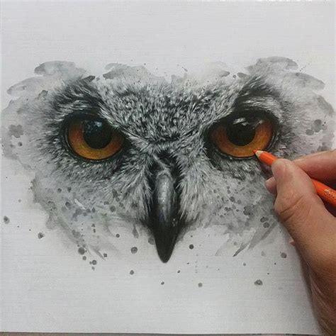 20 illustrated eye drawing ideas and inspiration. Color Pencil Animal Eyes - MRS. BECK'S FINE ART CLASSES