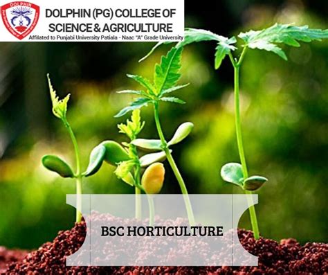 Explore top b.sc computer science colleges in bangalore / bengaluru based on 2021 ranking with details on courses,fees,placements,admissions, latest news and more. BSc Horticulture | Horticulture, Agricultural science ...