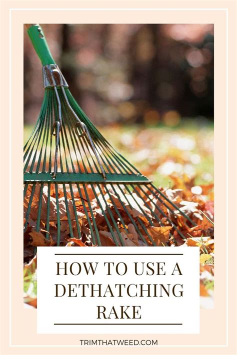 This guide covers using a dethatching rake and power rake. How to use a dethatching rake | Dethatching, Warm season grass, Rake
