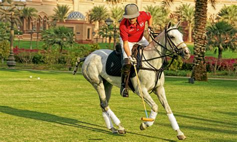 Everything you need to know about polo | Sport & Wellbeing, Sport ...