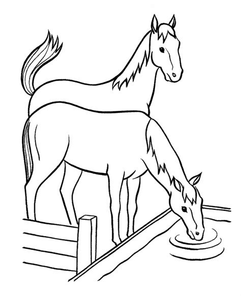 Frozen 2 coloring pages elsa and anna coloring. Elsa Water Horse Coloring Page | SCX Slots