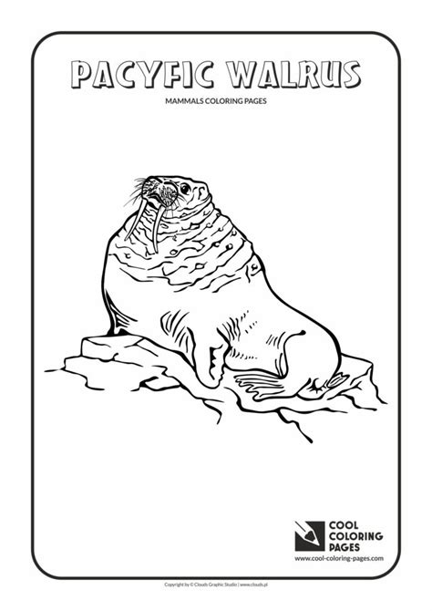 This coloring page for walrus can fit in an a4 sheet perfectly! Cool Coloring Pages Pacific walrus coloring page - Cool ...