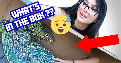 Scary stuff caught on camera ,sssniperwolf (in desc). SSSniperWolf Videos - A SCARY Box Challenge ! | Facebook