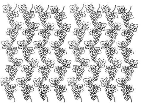 Download Grapes - Flowers Adult Coloring Pages