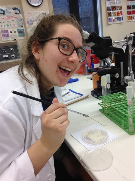 Graph with the 4 quadrants labeled on a coordinate plane. Medical Microbiology lab