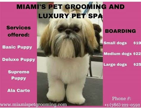 Don't get me wrong — starting a pet grooming business or any business for that matter is hard work. Pin by Miami's Pet Grooming on Dogs and Puppies | Pet spa ...