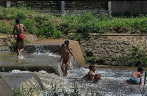 Nile, river, seine, tigris, danube, tributary, confluent, euphrates. Anak Berman Air Sungai Irigasi Ciherang, Foto 1 #1844409 ...