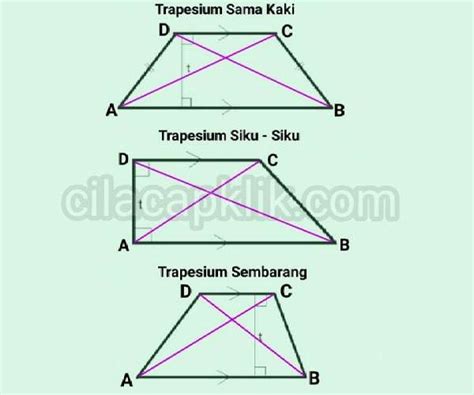 Kunyit termasuk jenis rimpang yang sangat mudah tumbuh. Macam - Macam Trapesium Dan Gambarnya - Cilacap Klik