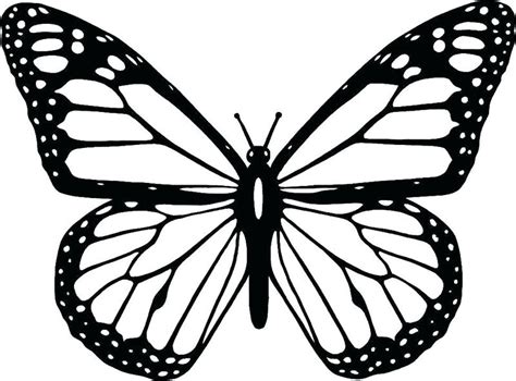 Selain sketsa htam putih, terdapat juga gambar kupu kupu berwrana. Koleksi Gambar Sketsa Kupu-Kupu Cantik Dan Indah